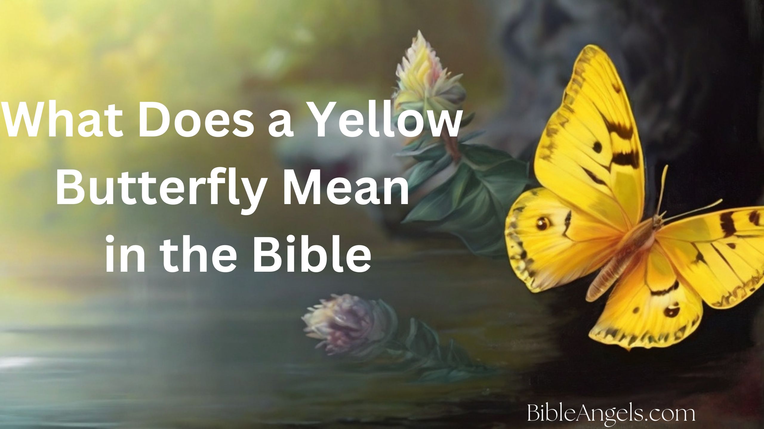 10 Spiritual Meanings of Yellow Butterfly in the Bible